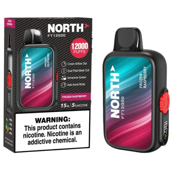 Best Deal North FT12000 Disposable Vape 15mL Frozen Raspberry 