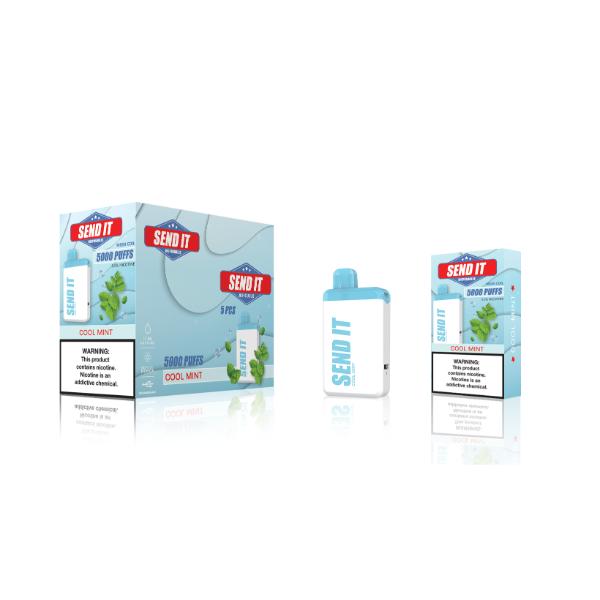 Cool Mint SEND IT 5000 Puffs Disposable 5-Pack Wholesale Deal!