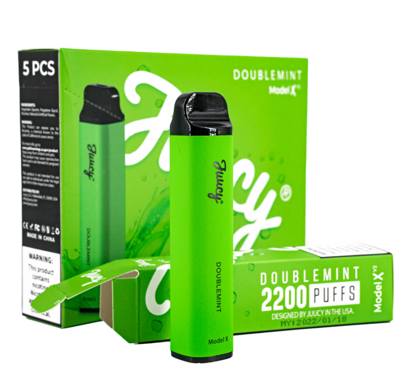 JUUCY Model X V2 2200 Puff Single Disposable Vape Best Flavor Doublemint