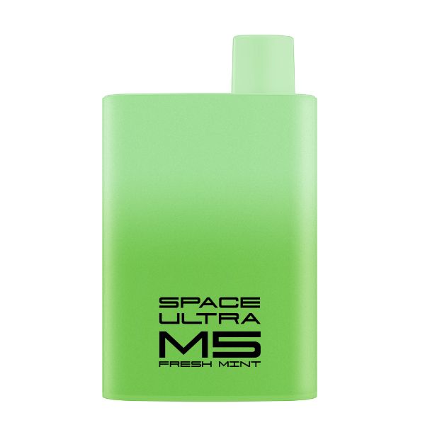 M5 FAB 5500 Puffs By Space Ultra Rechargeable Vape Disposable 12mL 10 Pack Best Flavor Fresh Mint