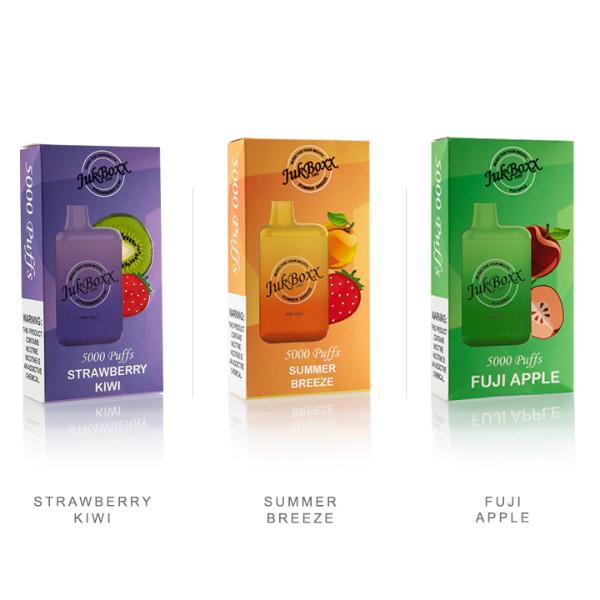 Jukboxx 5000 Puffs Disposable Vape 10 Pack Best Flavors