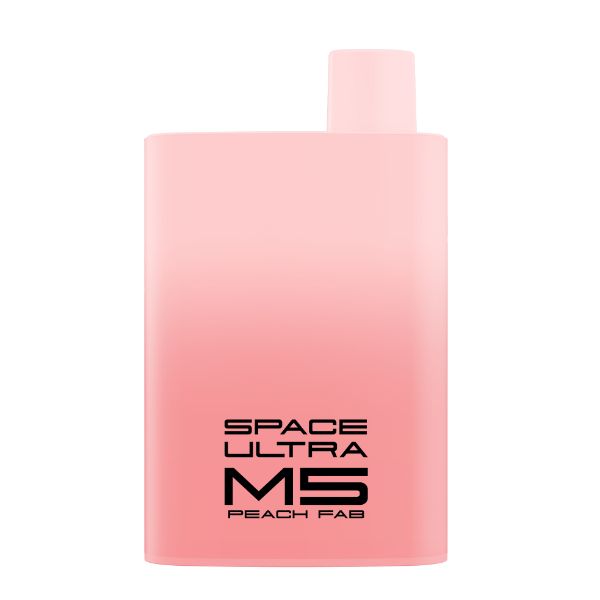 M5 FAB 5500 Puffs By Space Ultra Rechargeable Vape Disposable 12mL 10 Pack Best Flavor Peach Fab